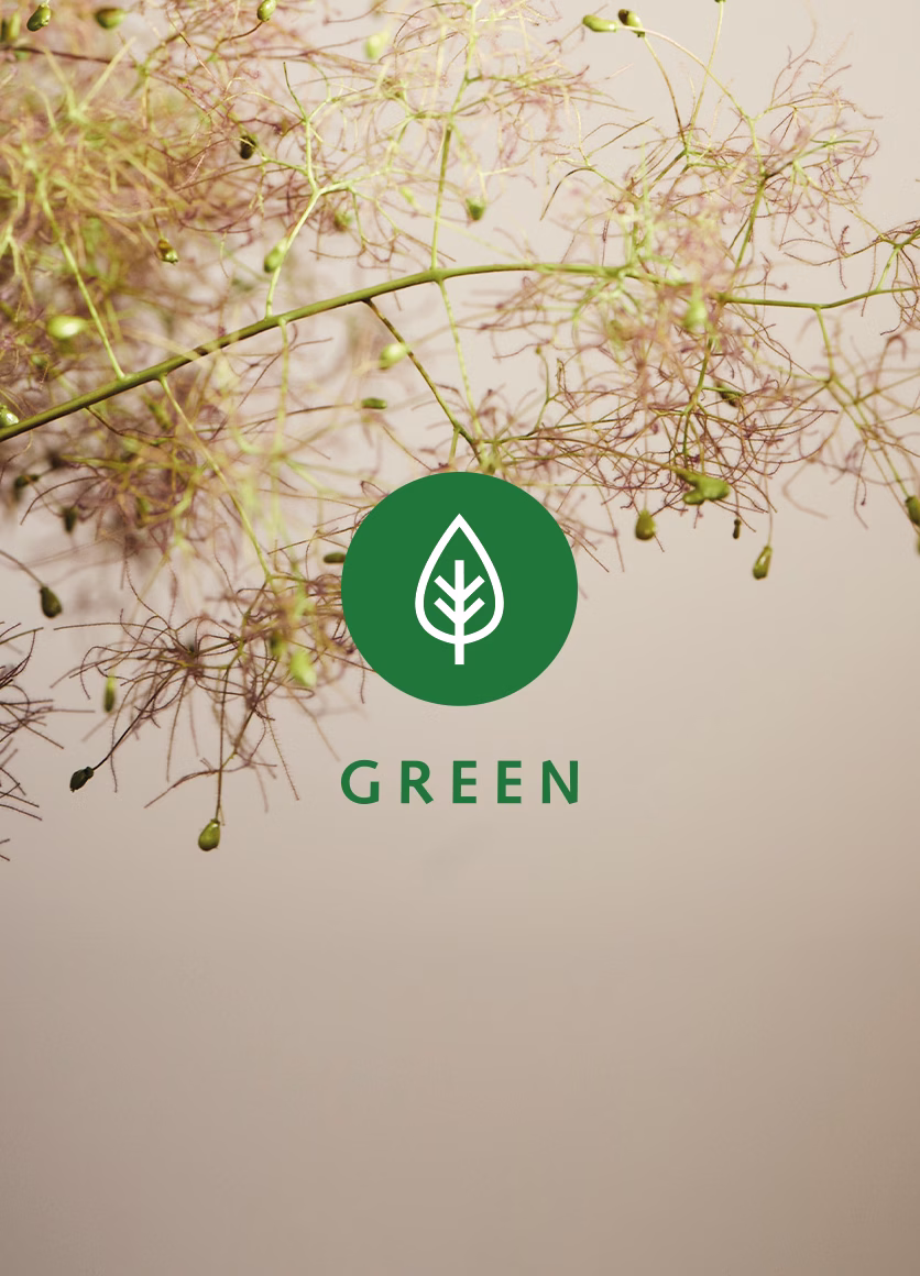 MORE Green