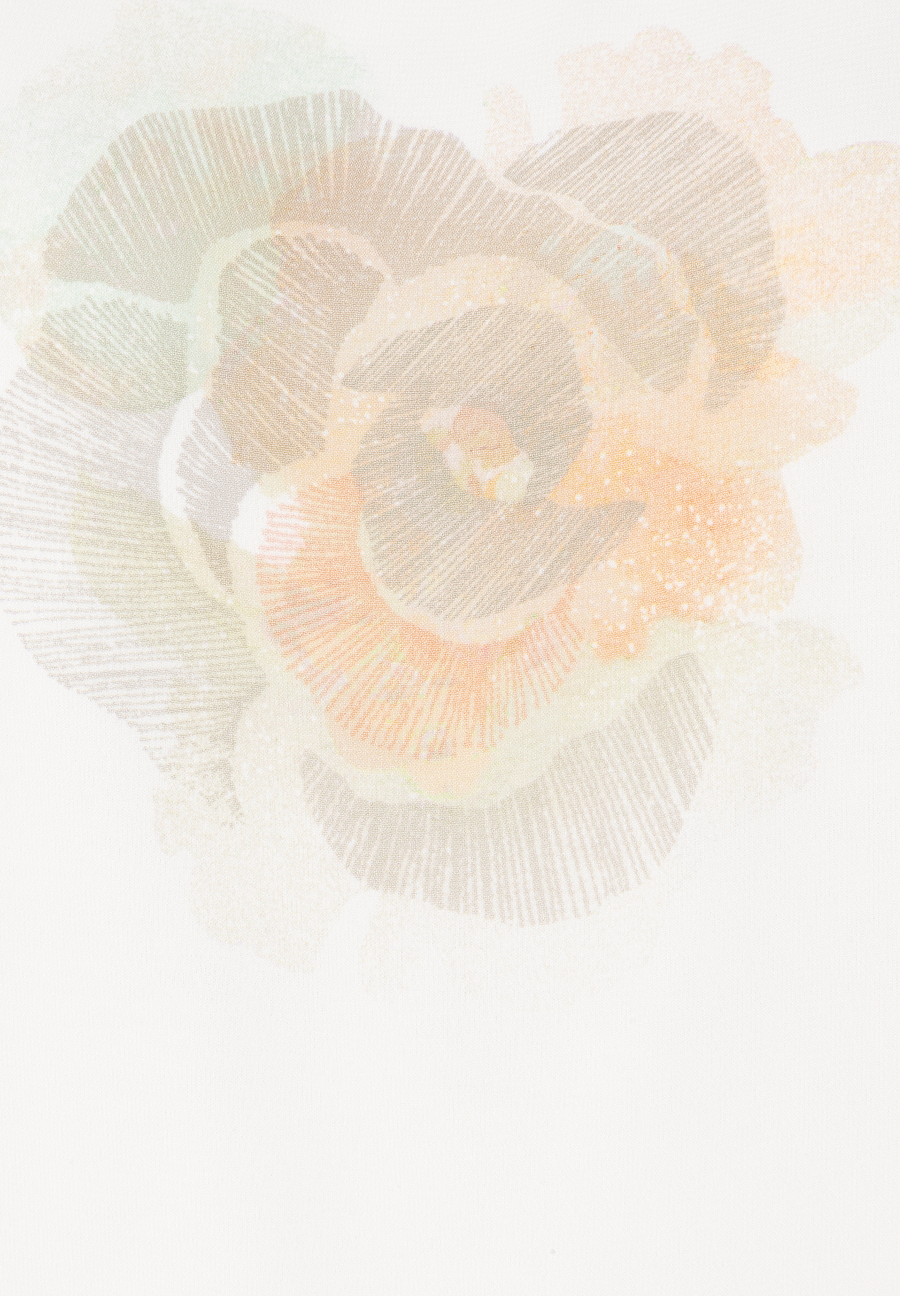 Abstraktes MORE & MORE Oberteil: florales Muster in sanften Farben, angenehmer Tragekomfort. Abstraktes MORE & MORE Oberteil: florales Muster in sanften Farben, angenehmer Tragekomfort.